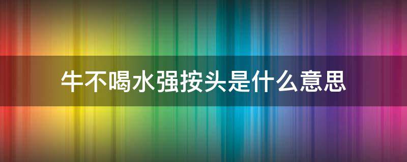 牛不喝水强按头是什么意思 牛不喝水强按头是什么生肖