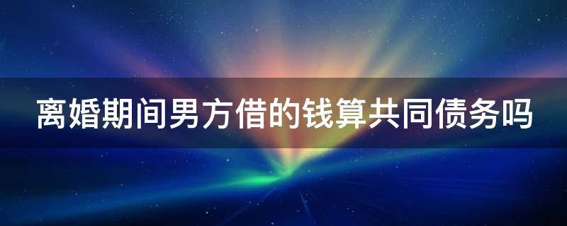 离婚期间男方借的钱算共同债务吗 离婚了男方借了钱女方不知道要一起承担负债吗?