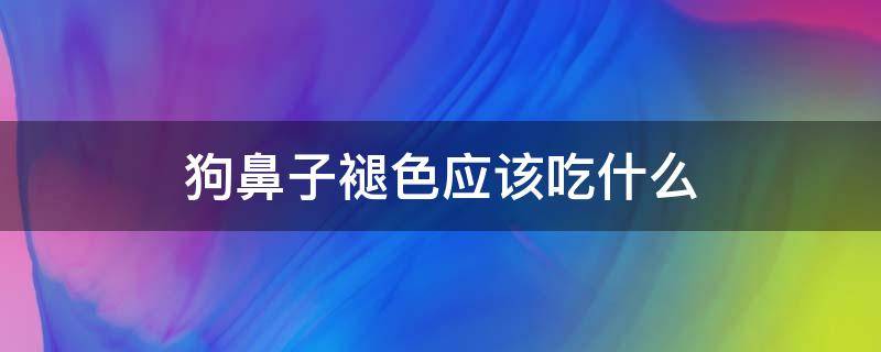 狗鼻子褪色应该吃什么（狗鼻子褪色吃点什么）