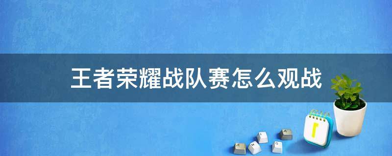 王者荣耀战队赛怎么观战（王者荣耀战队赛如何观战）