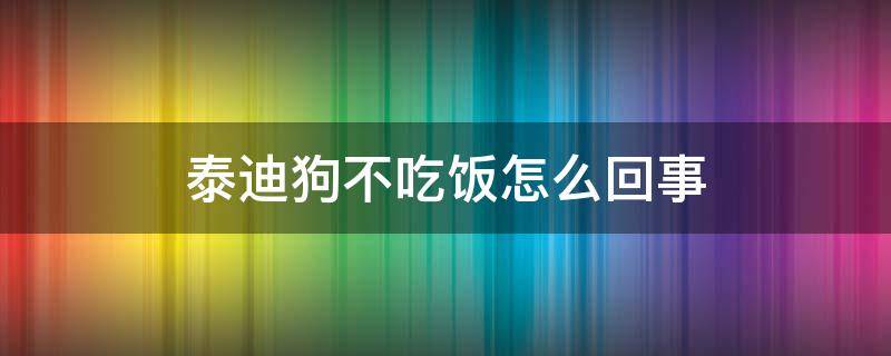 泰迪狗不吃饭怎么回事 泰迪狗不吃饭怎么回事儿