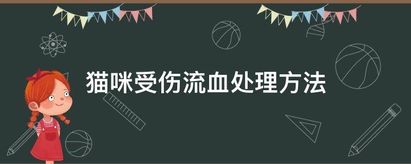 猫咪受伤流血处理方法 猫咪内伤出血