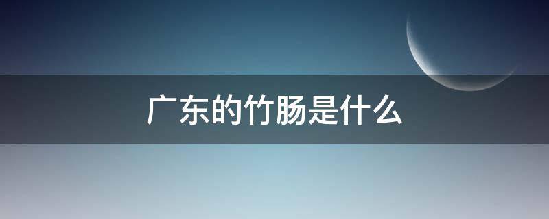 广东的竹肠是什么 广东人说的竹肠是什么