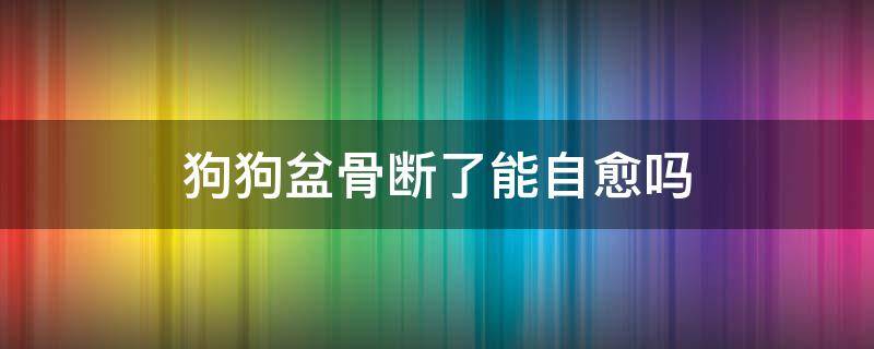 狗狗盆骨断了能自愈吗 小狗狗盆骨断了能自愈吗