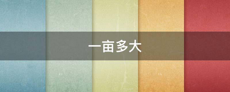 一亩多大 一亩多大?