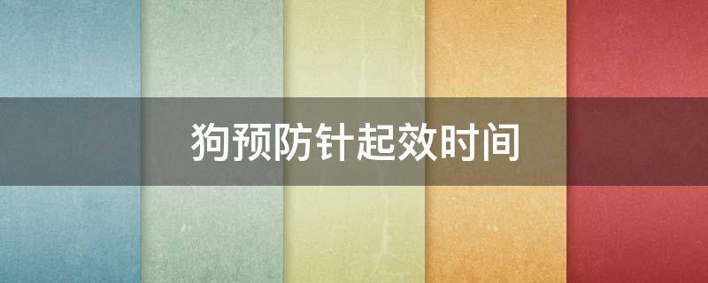 狗预防针起效时间 狗狗每年预防针打什么针