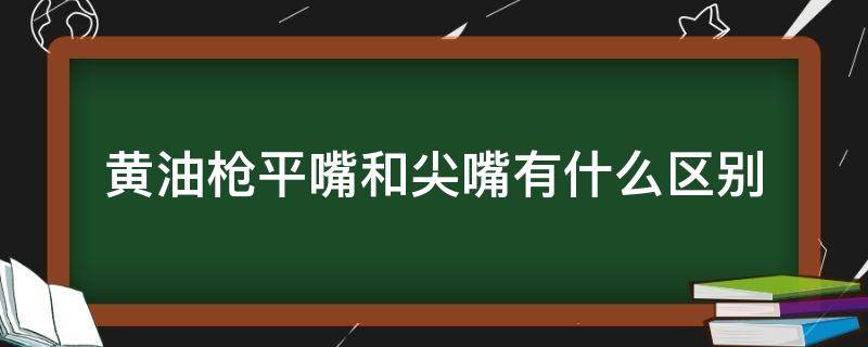 黄油枪平嘴和尖嘴有什么区别 黄油枪尖头和平嘴