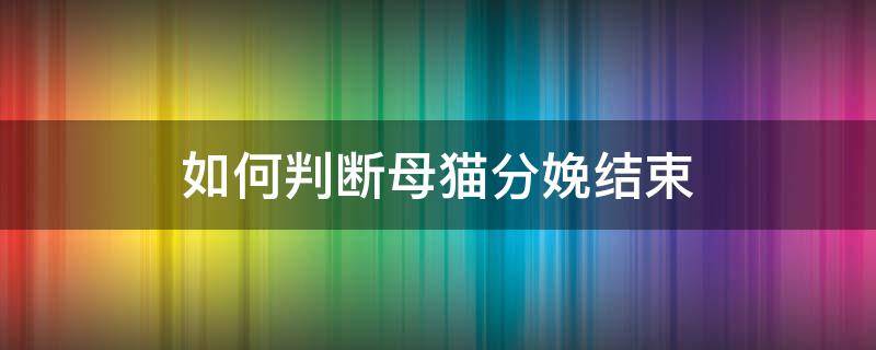 如何判断母猫分娩结束 母猫怎么判断生完了