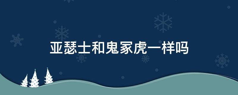 亚瑟士和鬼冢虎一样吗（鬼冢虎和亚瑟士的区别）