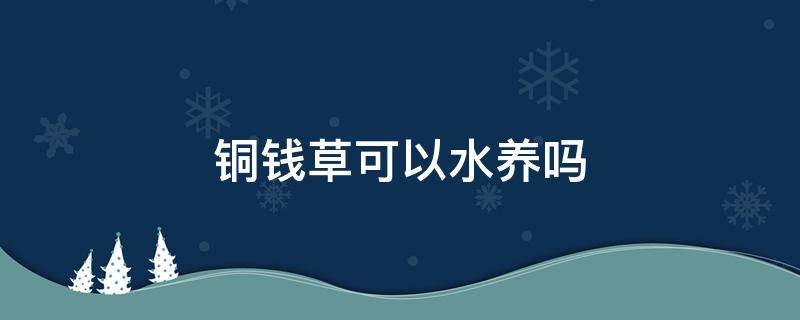 铜钱草可以水养吗 铜钱草可以当水草养吗