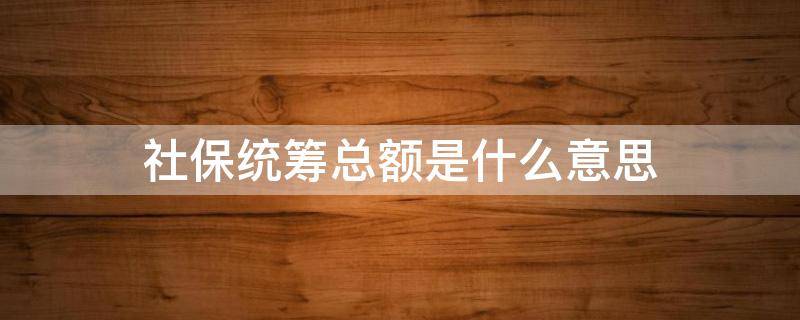 社保统筹总额是什么意思 社保费缴纳统筹总额是什么意思