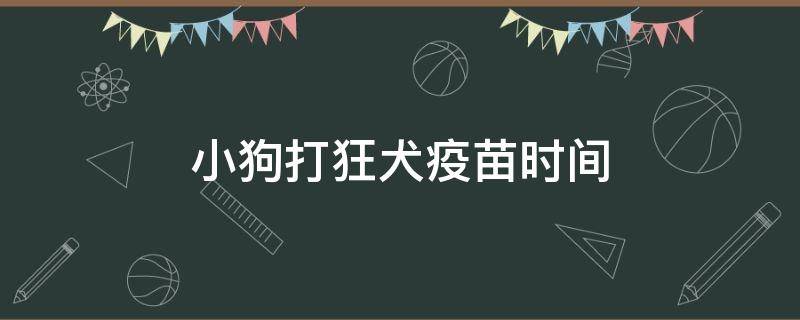 小狗打狂犬疫苗时间 小狗接种狂犬疫苗时间