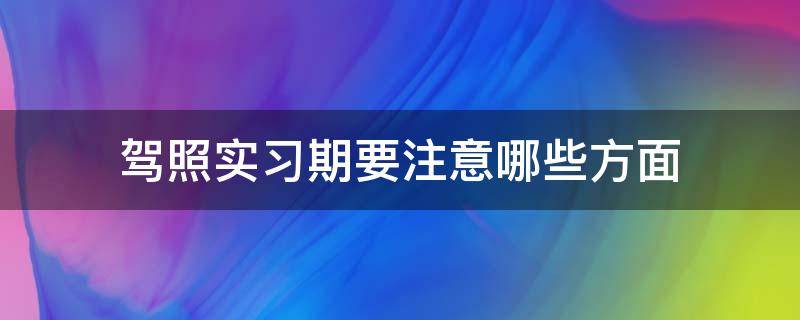 驾照实习期要注意哪些方面