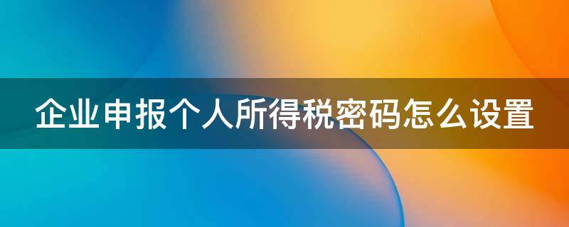 企业申报个人所得税密码怎么设置 企业报个人所得税申报密码是什么