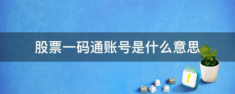 股票一码通账号是什么意思 一码通账号和证券账号