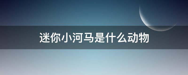 迷你小河马是什么动物 迷你小河马是什么动物,有鼠疫吗