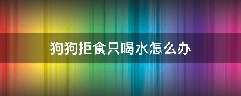 狗狗拒食只喝水怎么办 狗狗不吃食只喝水怎么办