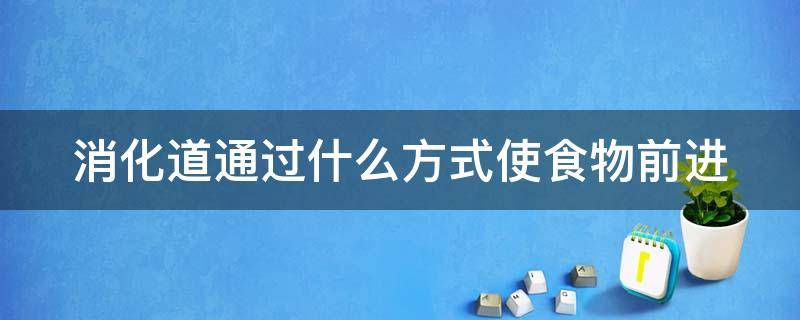 消化道通过什么方式使食物前进 消化道是用什么的方式使食物前进