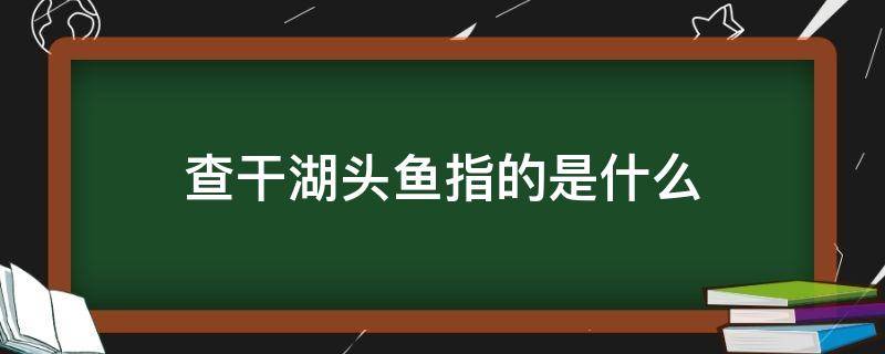 查干湖头鱼指的是什么 查干湖头鱼指的是什么意思