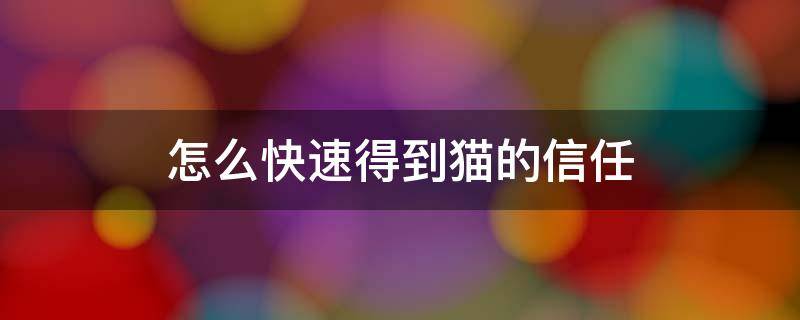 怎么快速得到猫的信任 怎样快速取得猫的信任