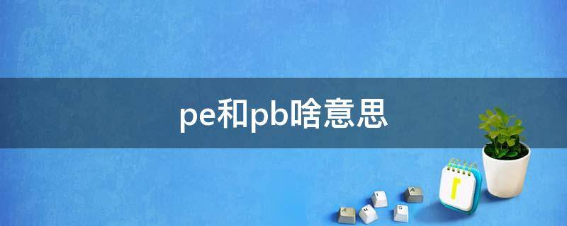 pe和pb啥意思 pe和PB