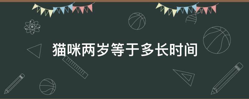 猫咪两岁等于多长时间 猫咪两个月等于几岁