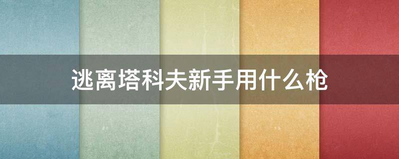 逃离塔科夫新手用什么枪 逃离塔科夫新手用什么枪杀大佬