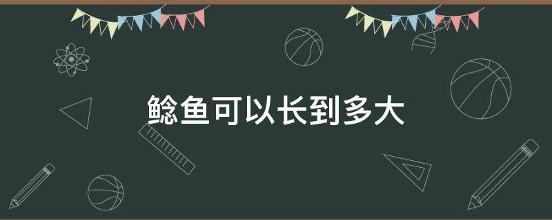 鲶鱼可以长到多大 鲶鱼最大可以长到多么大