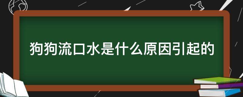 狗狗流口水是什么原因引起的 狗狗为什么会流口水是什么原因引起的