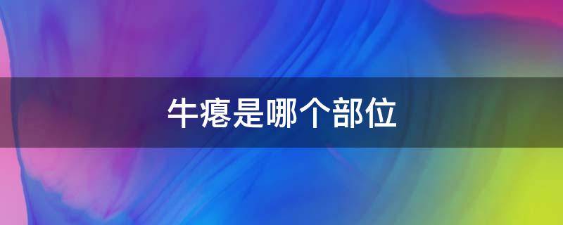 牛瘪是哪个部位 牛瘪是哪个部位取出来的