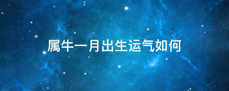 属牛一月出生运气如何（属牛的1月份运气怎么样）