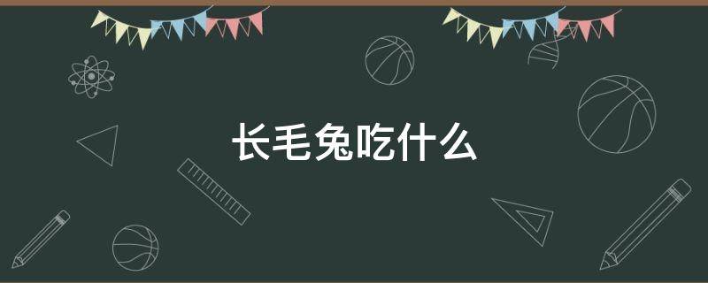 长毛兔吃什么（长毛兔吃什么蔬菜）