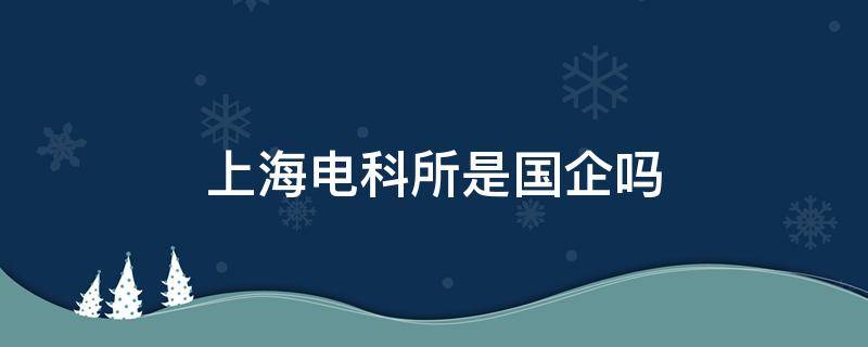 上海电科所是国企吗 上海电科所是干嘛的