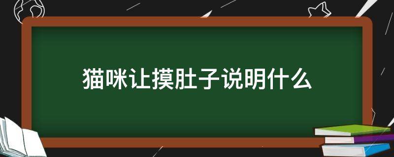 猫咪让摸肚子说明什么 猫咪让摸肚子