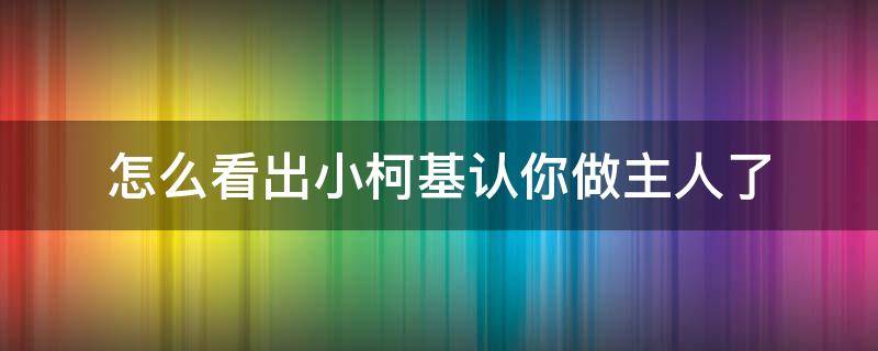 怎么看出小柯基认你做主人了（柯基认主人吗跟主人走吗）