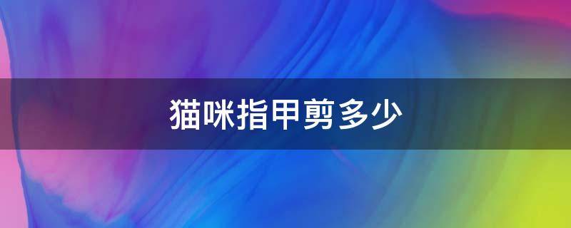 猫咪指甲剪多少 猫咪指甲剪多少合适图片