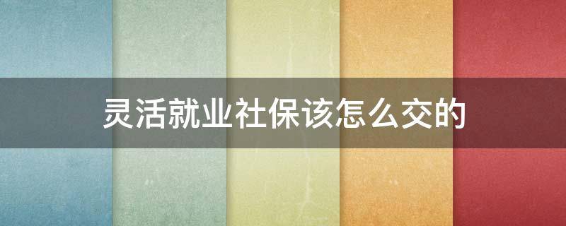 灵活就业社保该怎么交的 灵活就业交社保怎么交