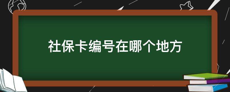 社保卡编号在哪个地方（社保编号在卡的哪里）