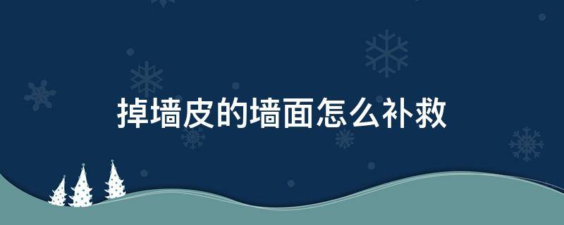 掉墙皮的墙面怎么补救 墙上掉墙皮怎么补