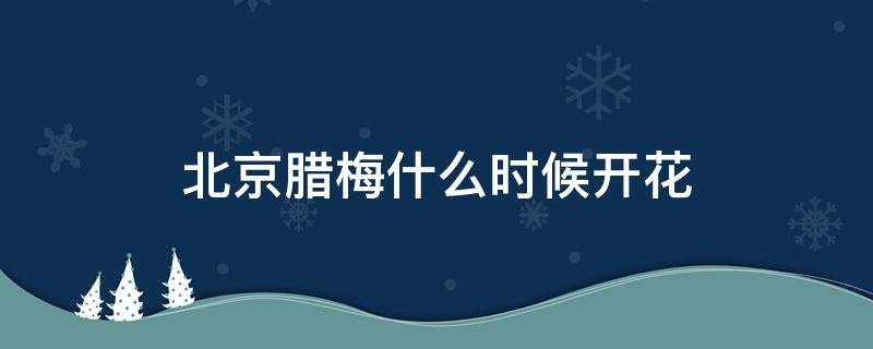 北京腊梅什么时候开花 北京腊梅的花期