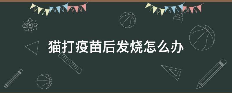 猫打疫苗后发烧怎么办 猫打疫苗以后发烧怎么办