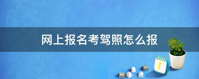 网上报名考驾照怎么报 网上报名考驾照怎么报为什么报不上