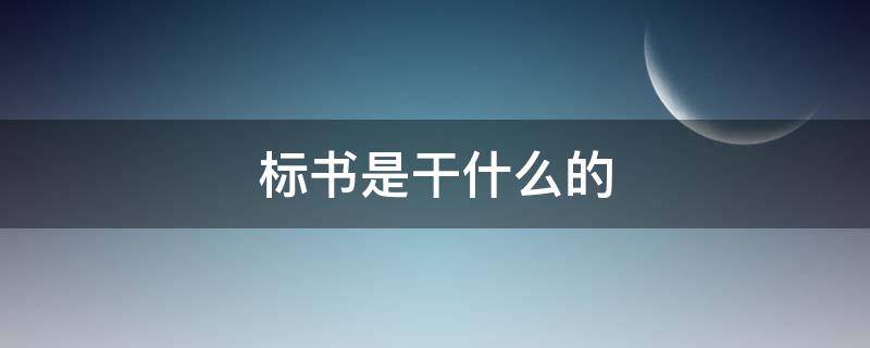 标书是干什么的（标书干什么用）