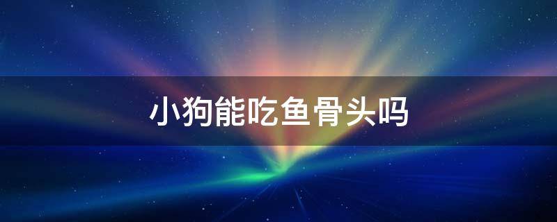 小狗能吃鱼骨头吗 小狗会吃鱼骨头吗