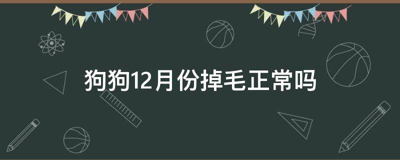 狗狗12月份掉毛正常吗（狗狗十二月份掉毛正常吗）