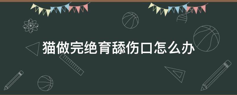 猫做完绝育舔伤口怎么办 猫做完绝育后舔伤口