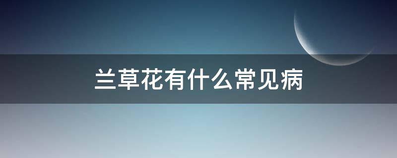 兰草花有什么常见病（兰花常见的病）