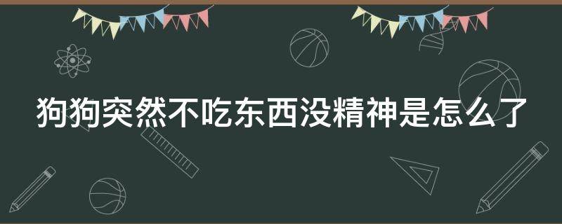 狗狗突然不吃东西没精神是怎么了（狗狗突然不吃饭,没精神,不愿意动）