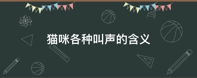 猫咪各种叫声的含义 猫咪的叫声代表什么 猫咪的叫声含义