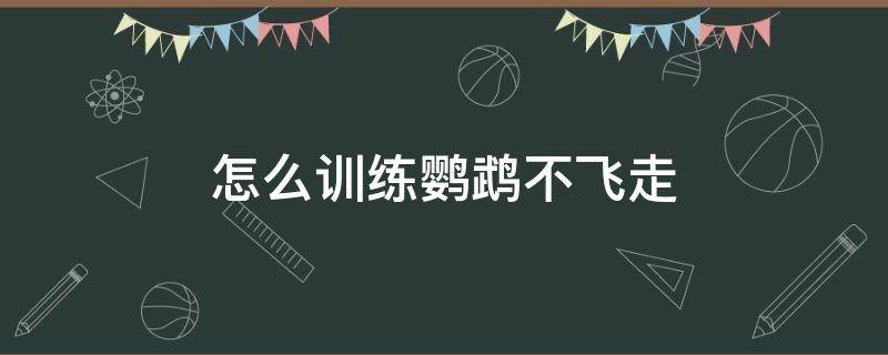 怎么训练鹦鹉不飞走 怎样培训鹦鹉上手不飞走